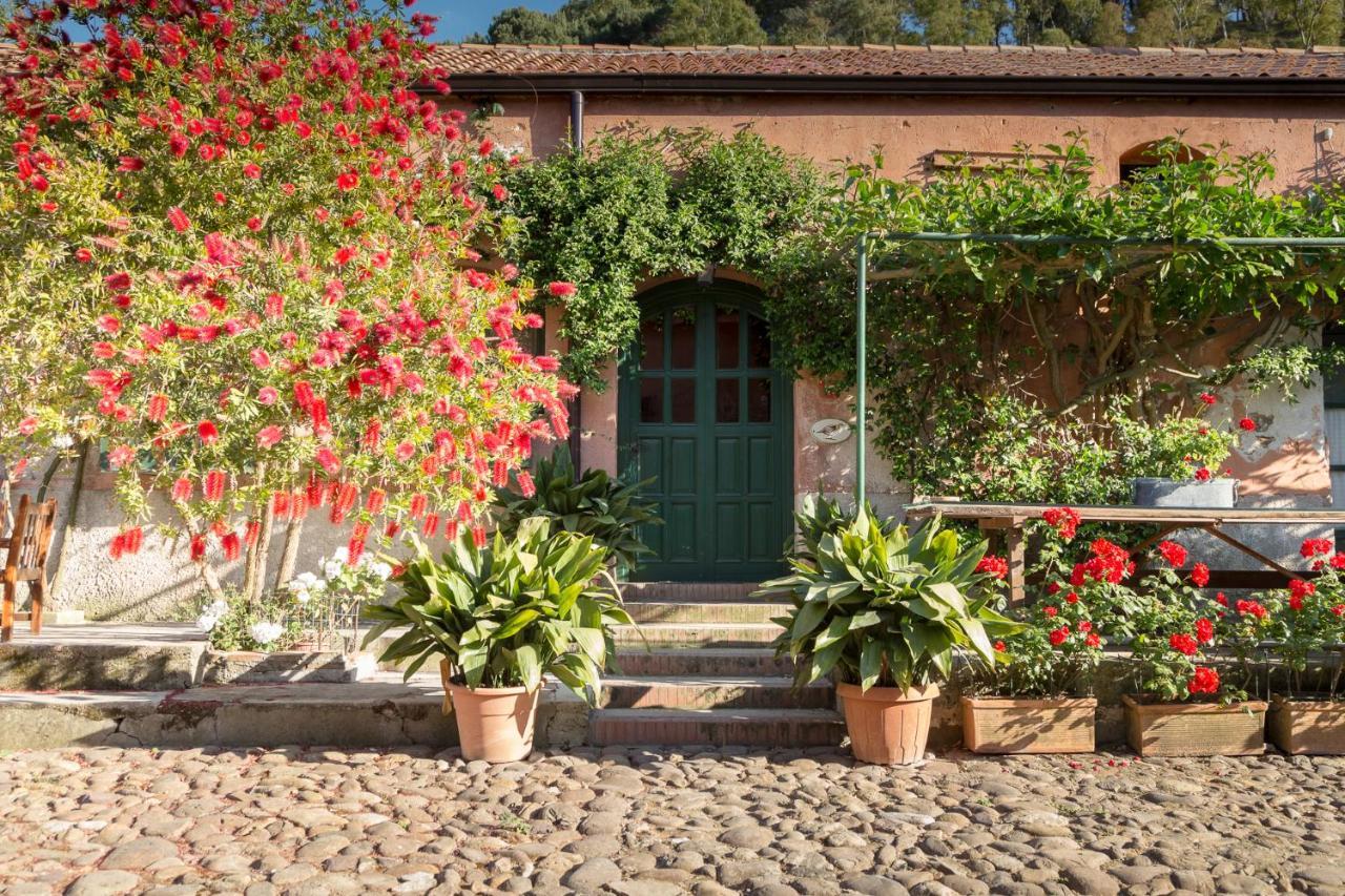 Masseria Pernice Bed and Breakfast Monreale Exterior foto